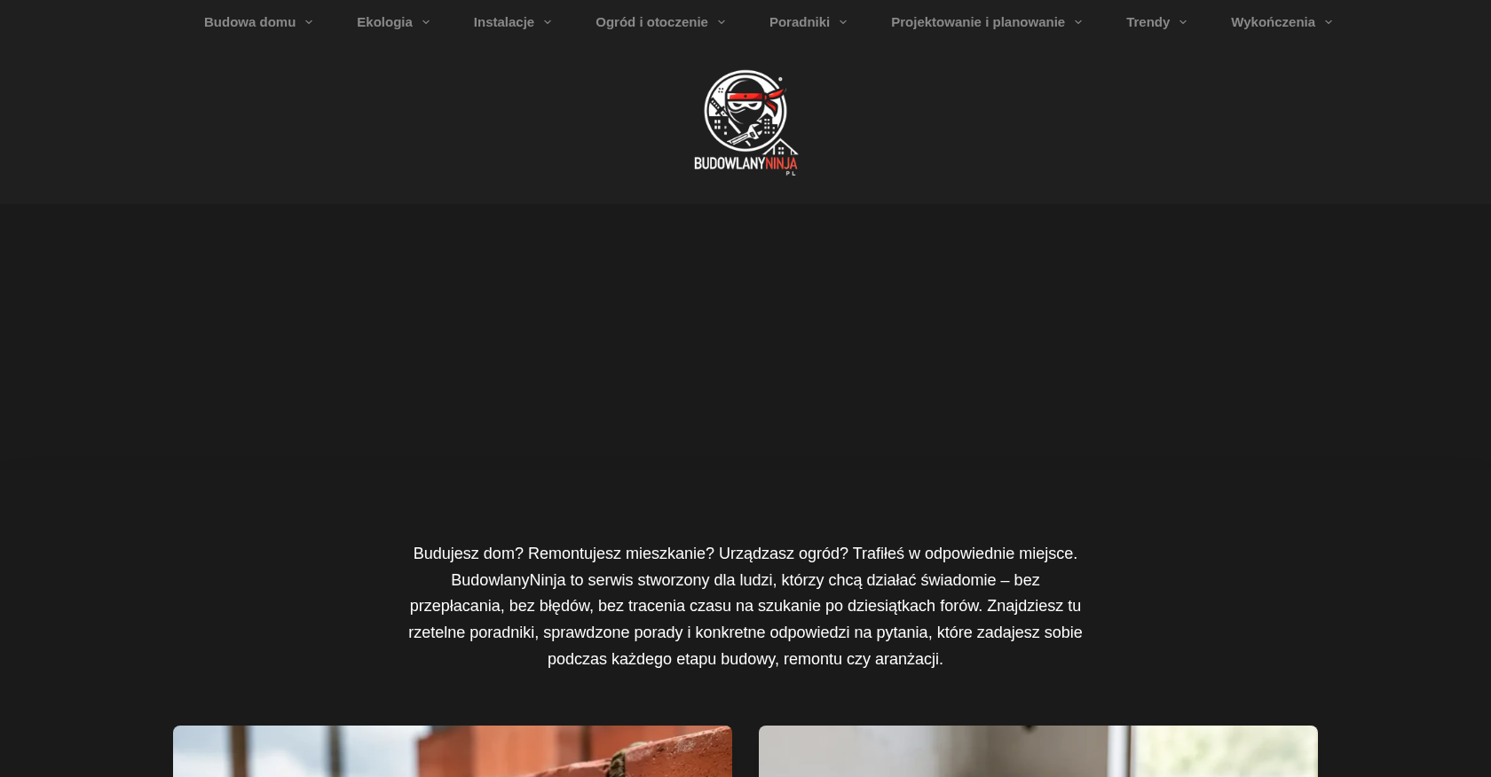 test seo dla frazy budowlanyninja 