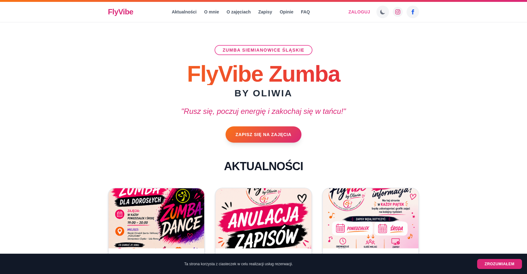 test seo dla frazy flyvibe 